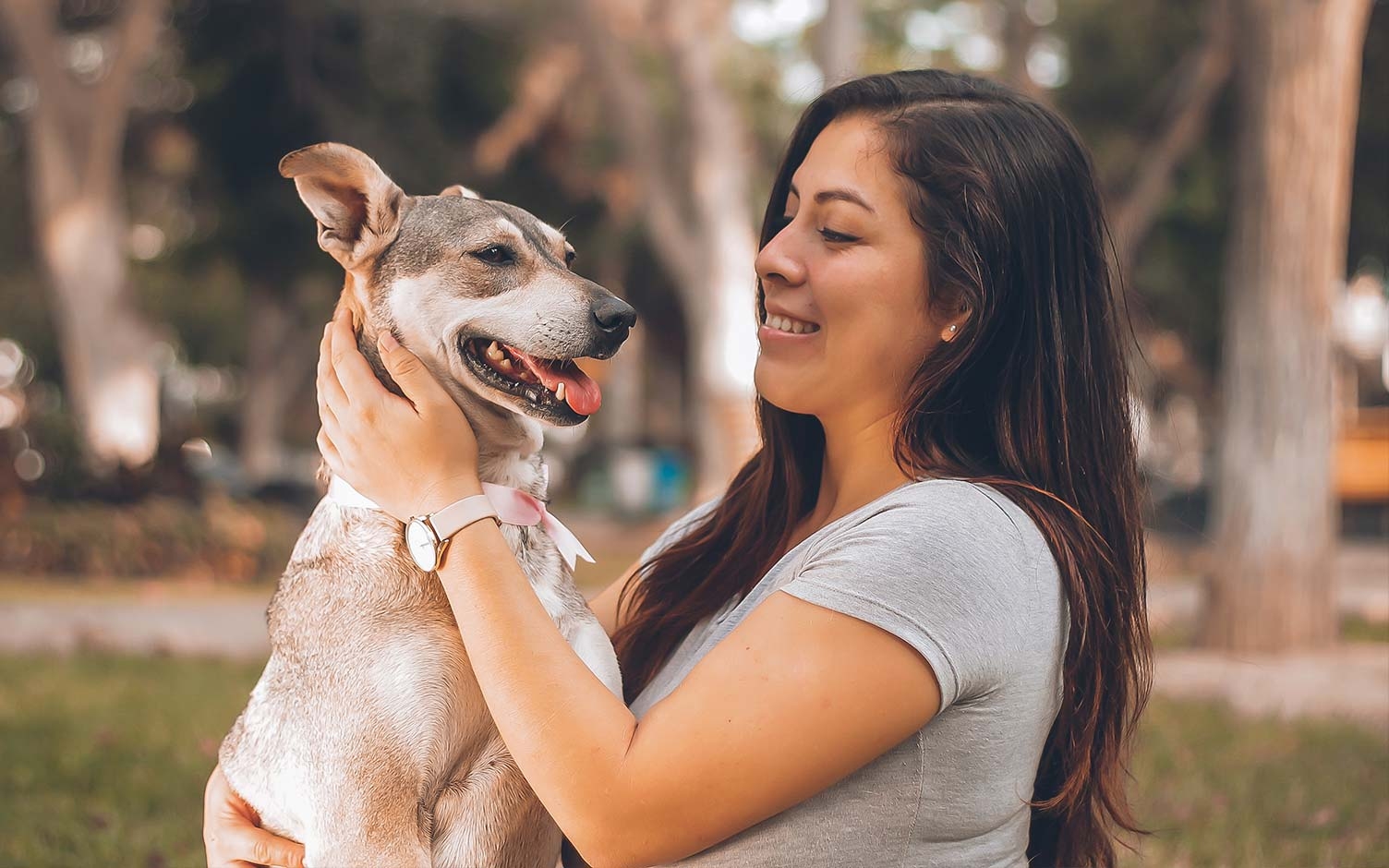 Cinco formas en las que su perro expresa que es feliz