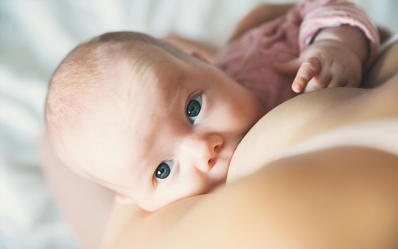 Salud digestiva y defensas del bebé
