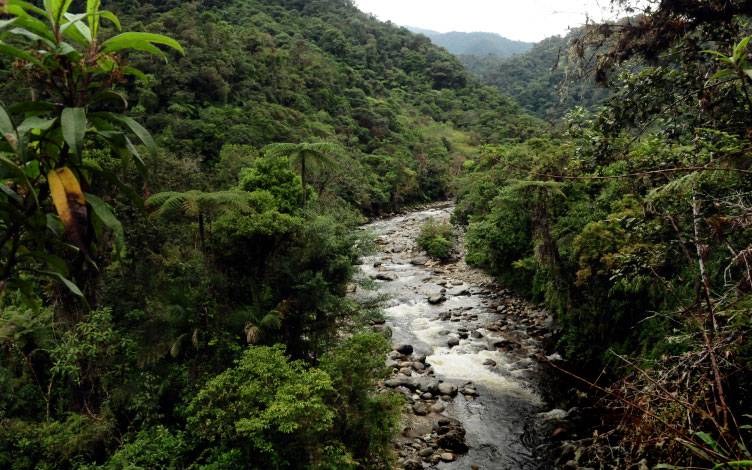 El agua en Colombia: así estamos