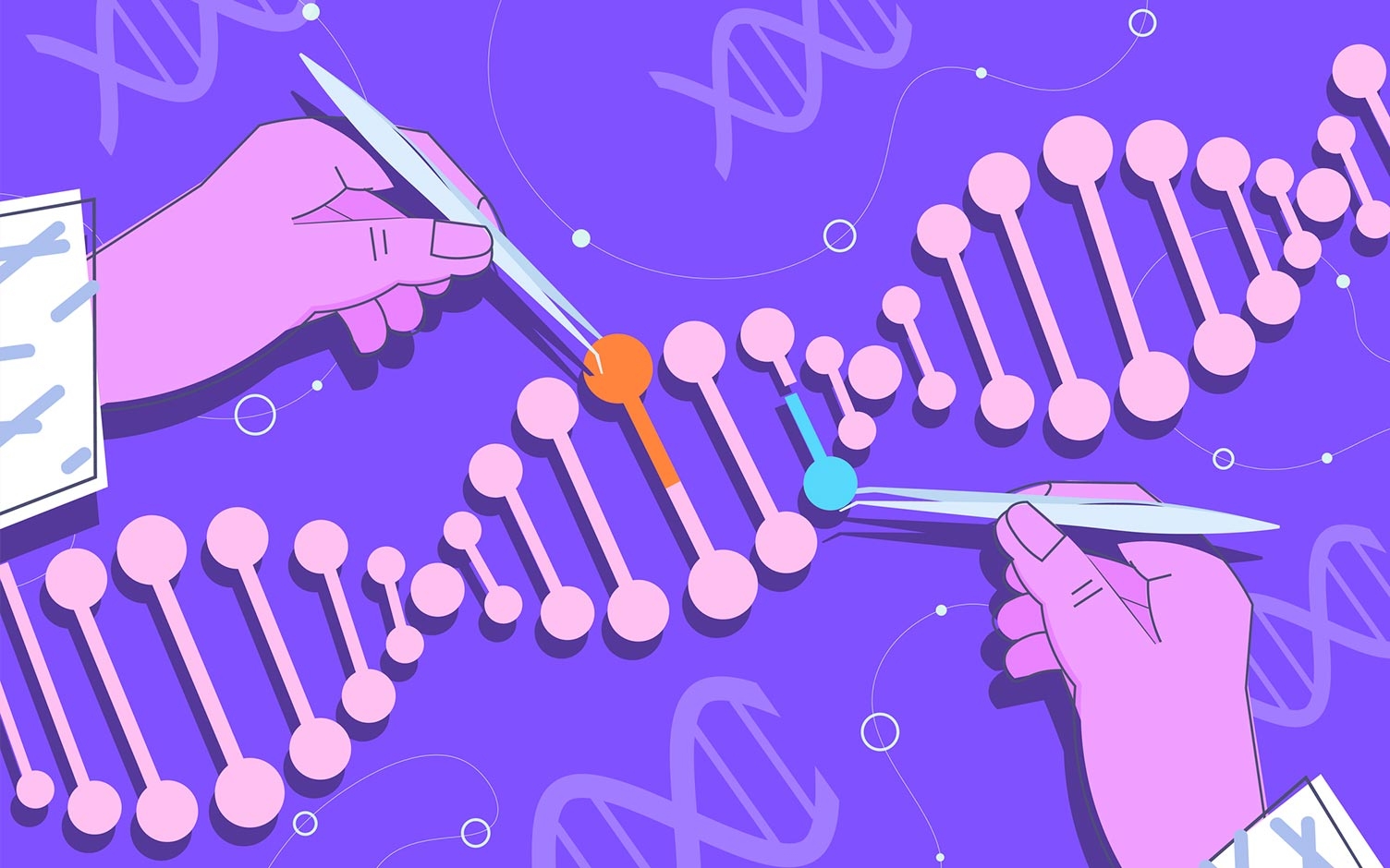 Los límites de la edición genética en humanos