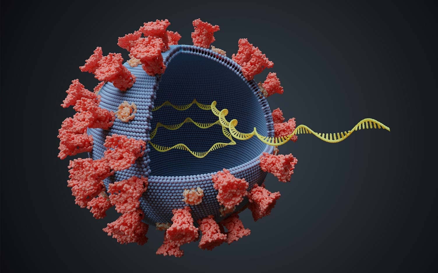5 cosas que debe saber sobre la nueva cepa de coronavirus
