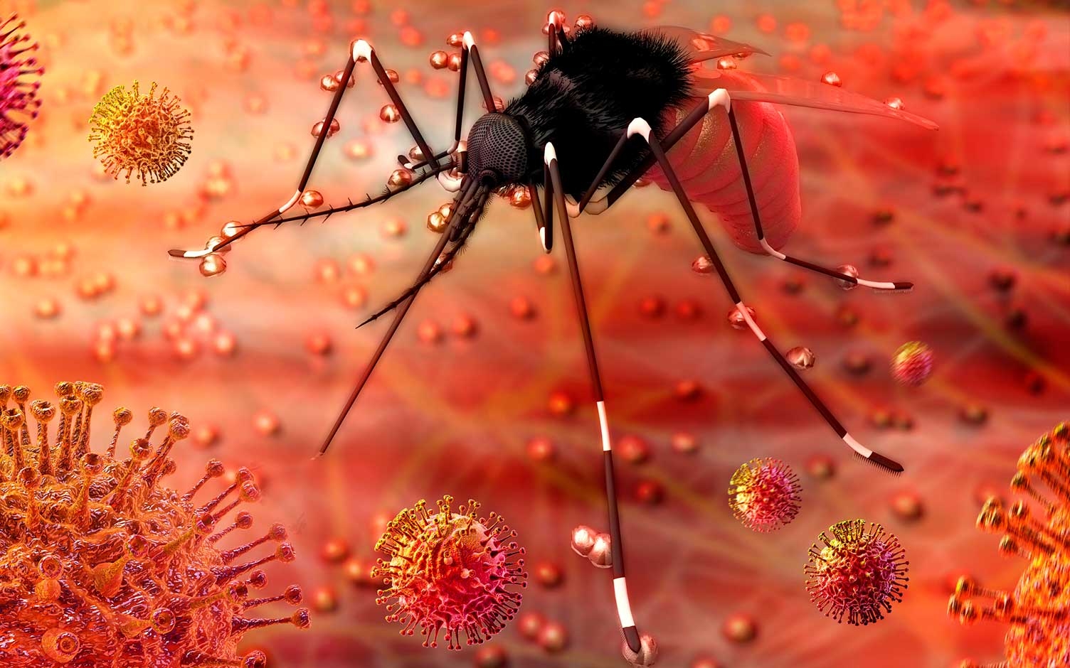 Zika y Chikunguña, enfermedades tropicales en Colombia