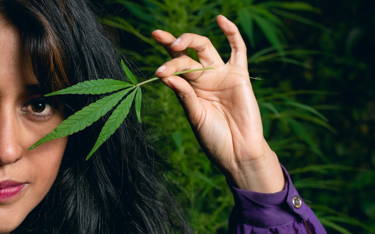 Cannabis: la importancia de entender sus efectos en cada organismo