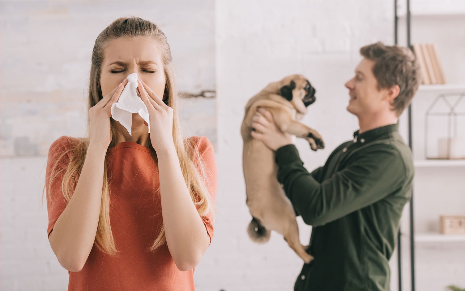 Convivir con mascotas cuando se tiene alergia