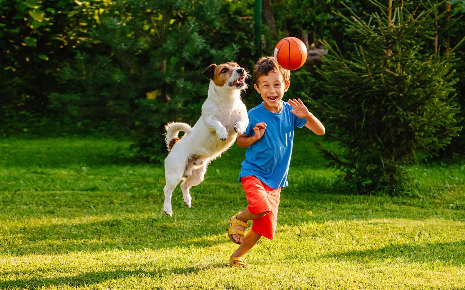 Jugar al aire libre es clave para tener niños saludables